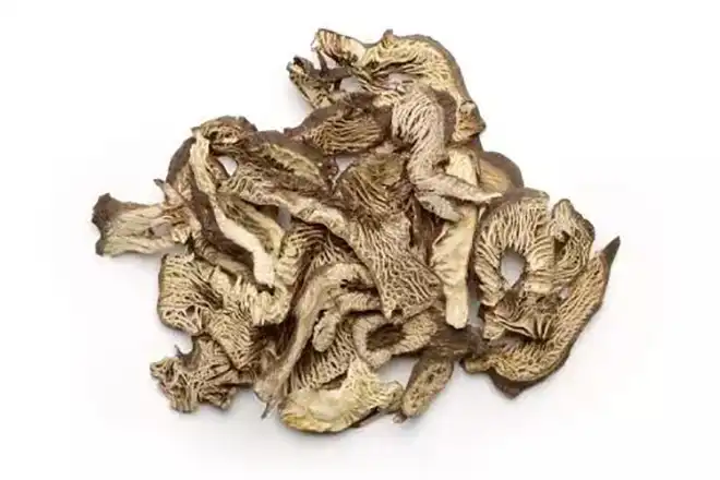 Rhizoma Cimicifugae Extract vs. Other Herbal Supplements